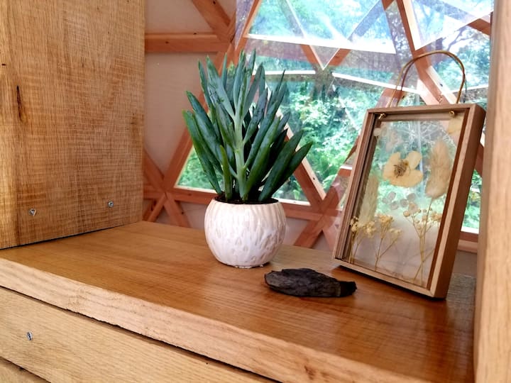 การตกแต่งที่สะอาด โดมสว่างพร้อมวิวป่า 