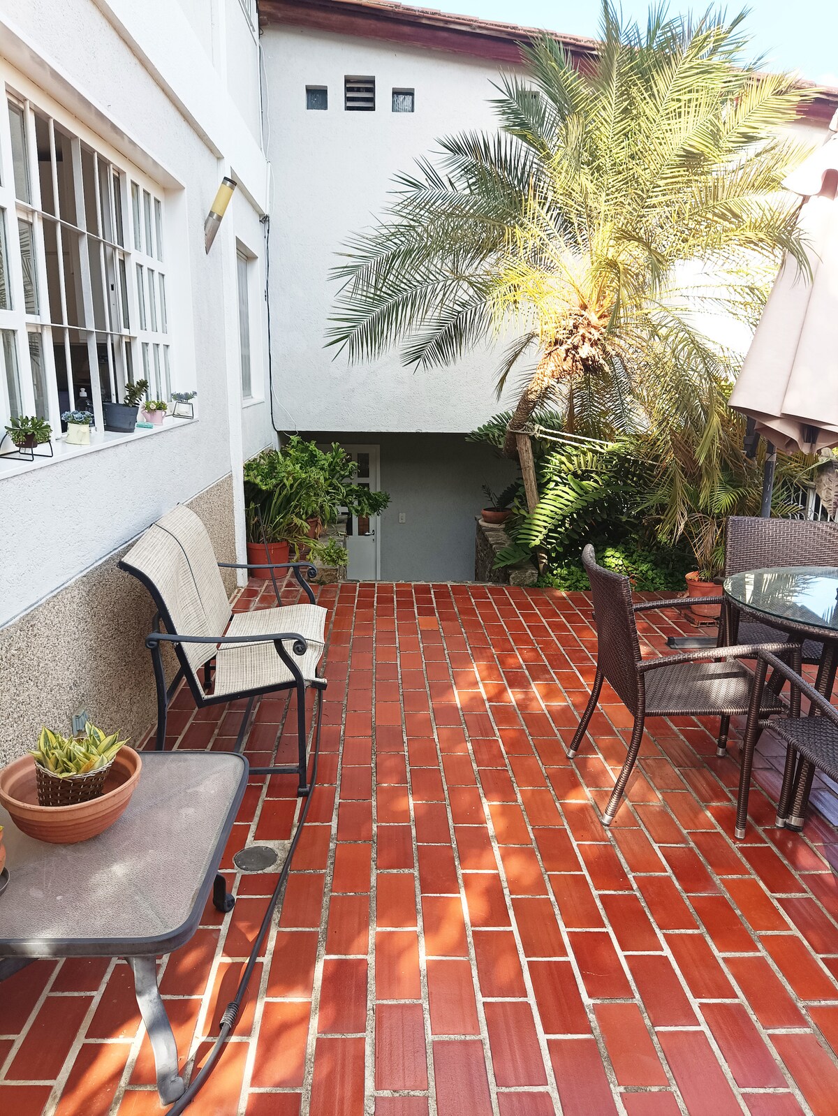 A tiled outdoor patio area is lined with potted plants and features a glass table surrounded by chairs. A palm tree adds greenery to the space, enhancing the inviting atmosphere. Natural light is abundant, and a doorway leads to the interior.