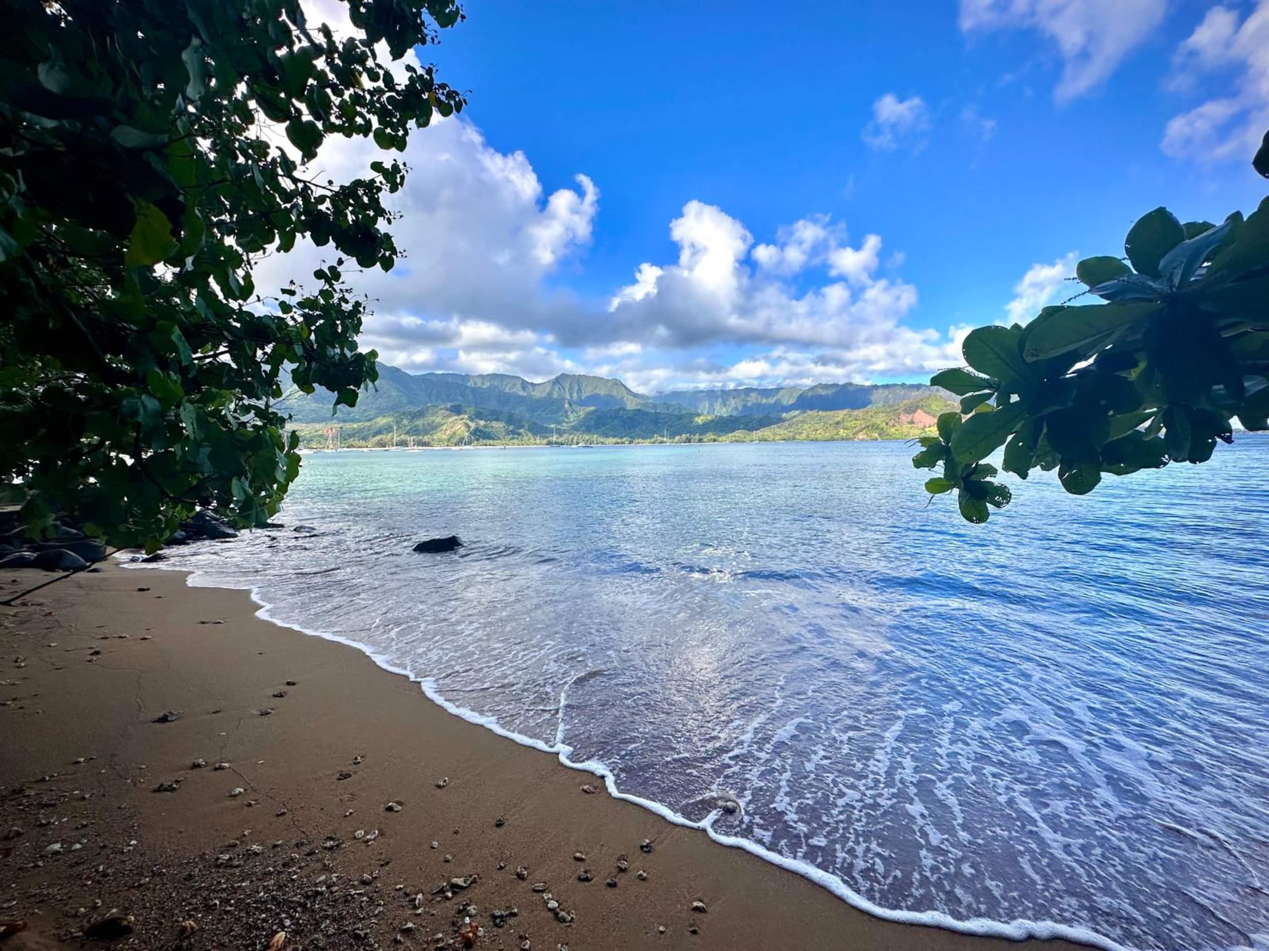 Condo in Princeville · ★4.96 · 2 bedrooms · 4 beds · 2 baths - Image 46