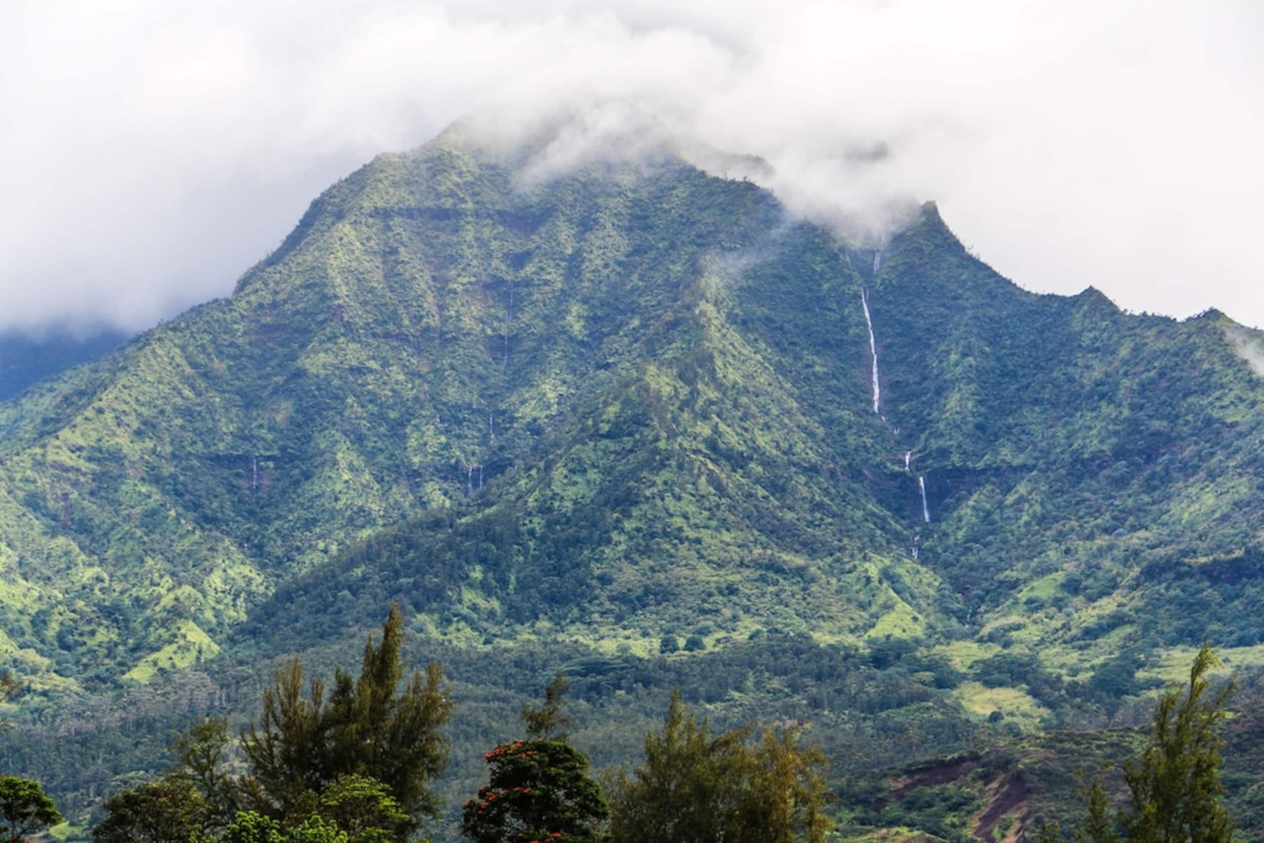 Condo in Princeville · ★4.96 · 2 bedrooms · 4 beds · 2 baths - Image 51
