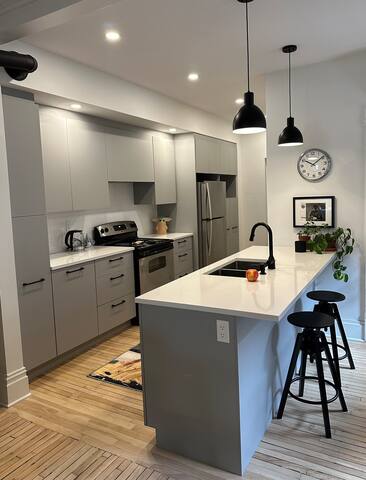 Loft 4BedR Plateau Mont-Royal gallery image 4