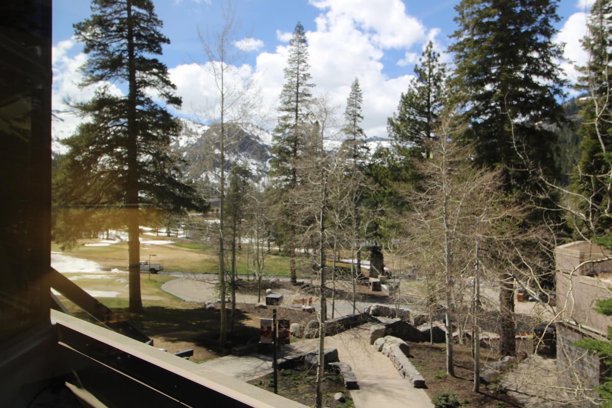 A view from the room showcases majestic mountains in the background, framed by tall trees. A landscaped area with a winding path is visible in the foreground, leading through the natural surroundings, creating a serene outdoor atmosphere.