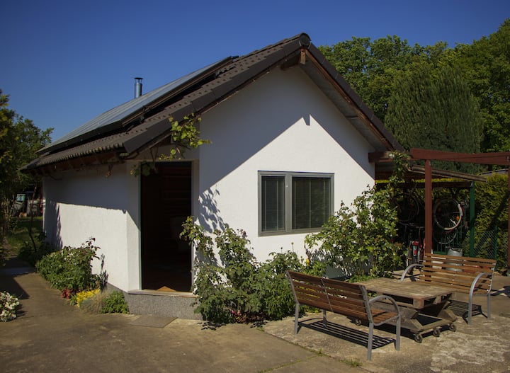Saunahaus Mit Swimmingpool - Berlino
