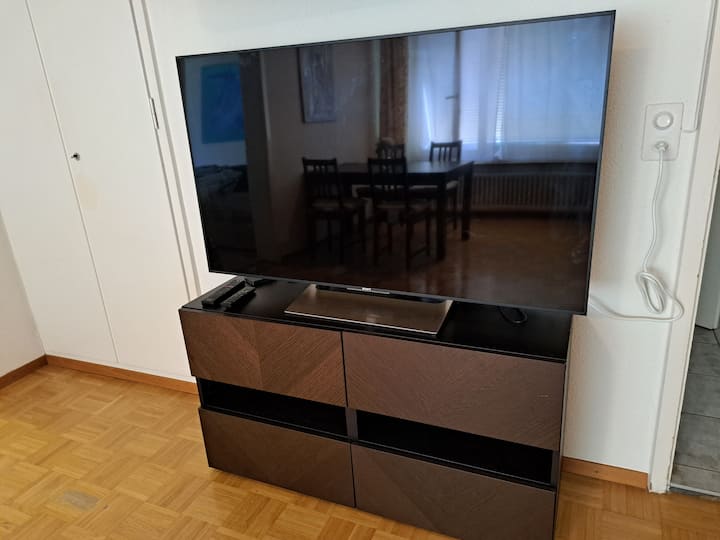 Spacious City Flat With Parking - Zürich