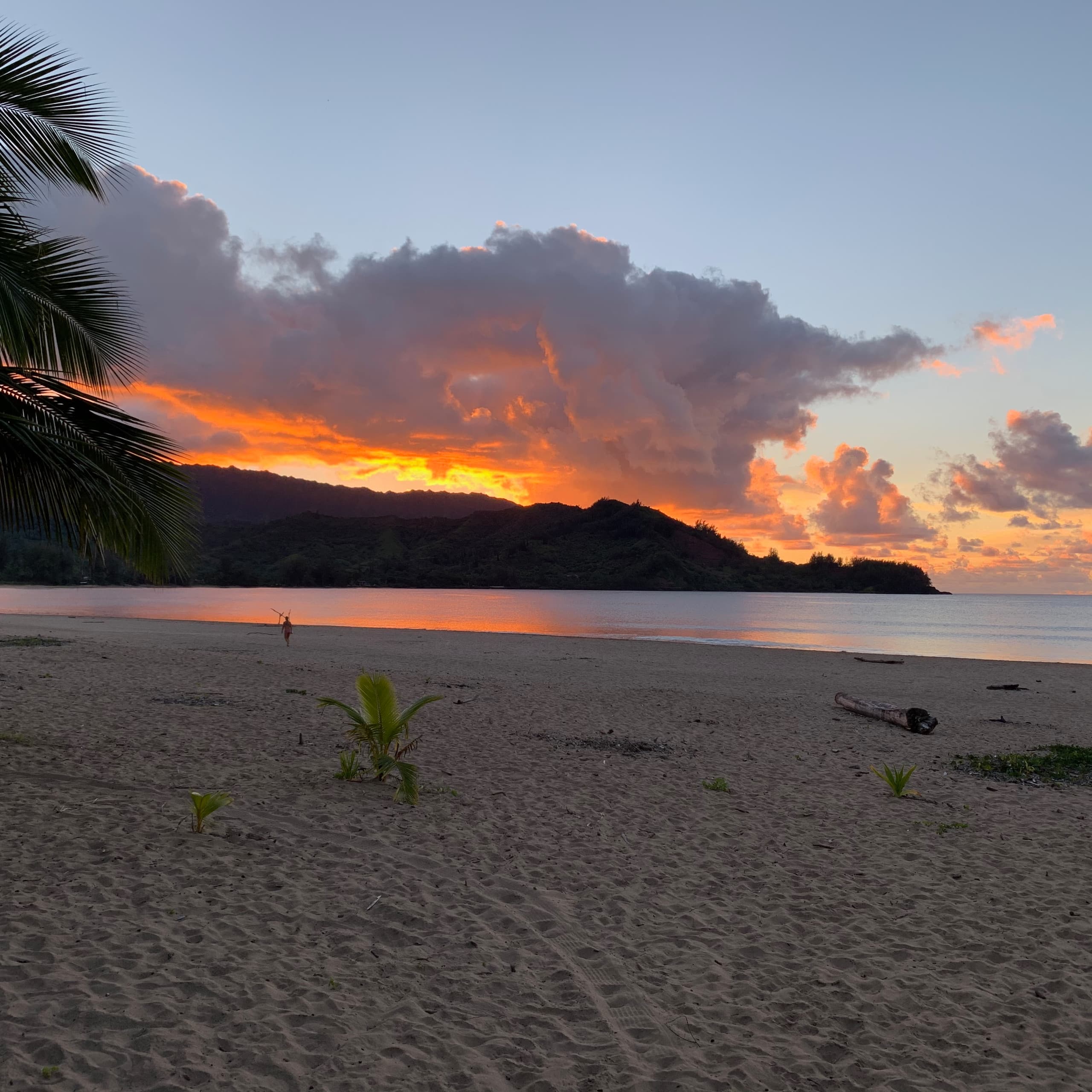 Home in Princeville · ★4.94 · 2 bedrooms · 2 beds · 2 baths - Image 14