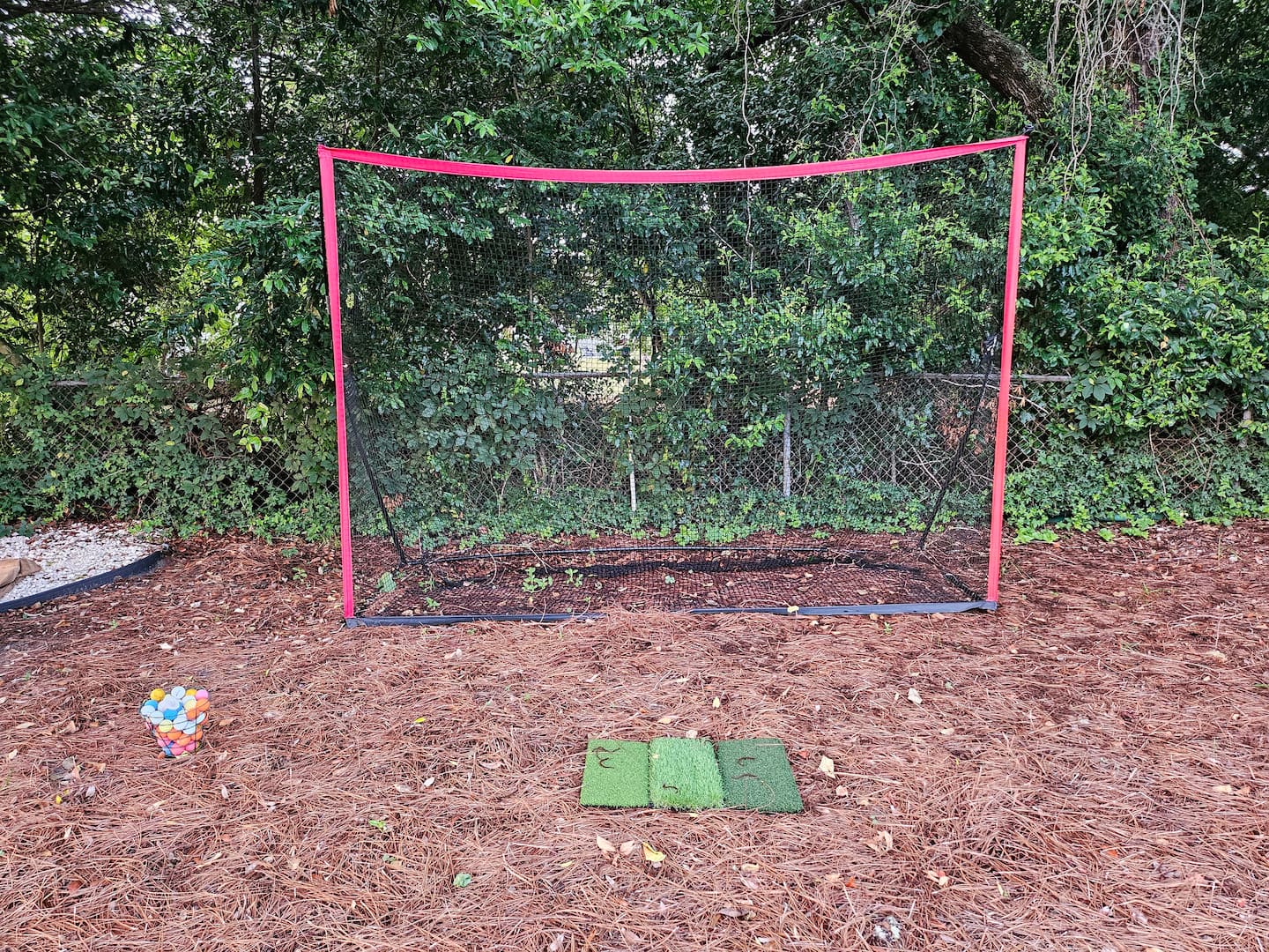 Backyard view