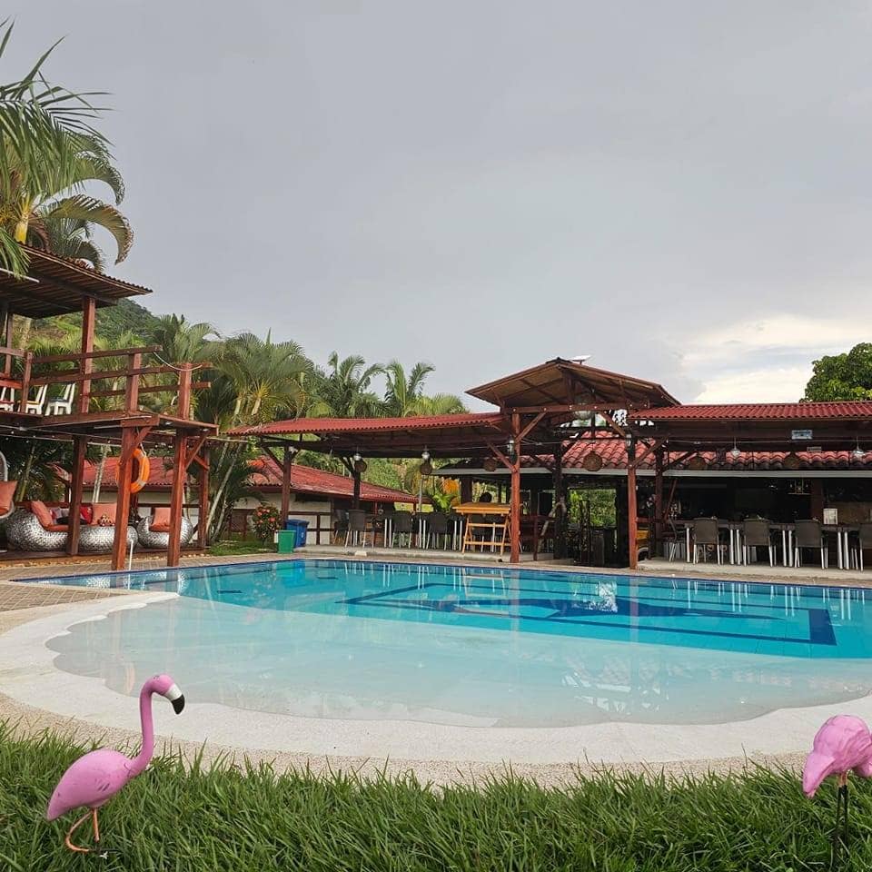 A spacious pool area is surrounded by lush greenery and palm trees, with a shallow section and seating along the edge. Two flamingo decorations adorn the grass in the foreground. A rustic wooden structure offers shade and dining options, enhancing the inviting atmosphere.