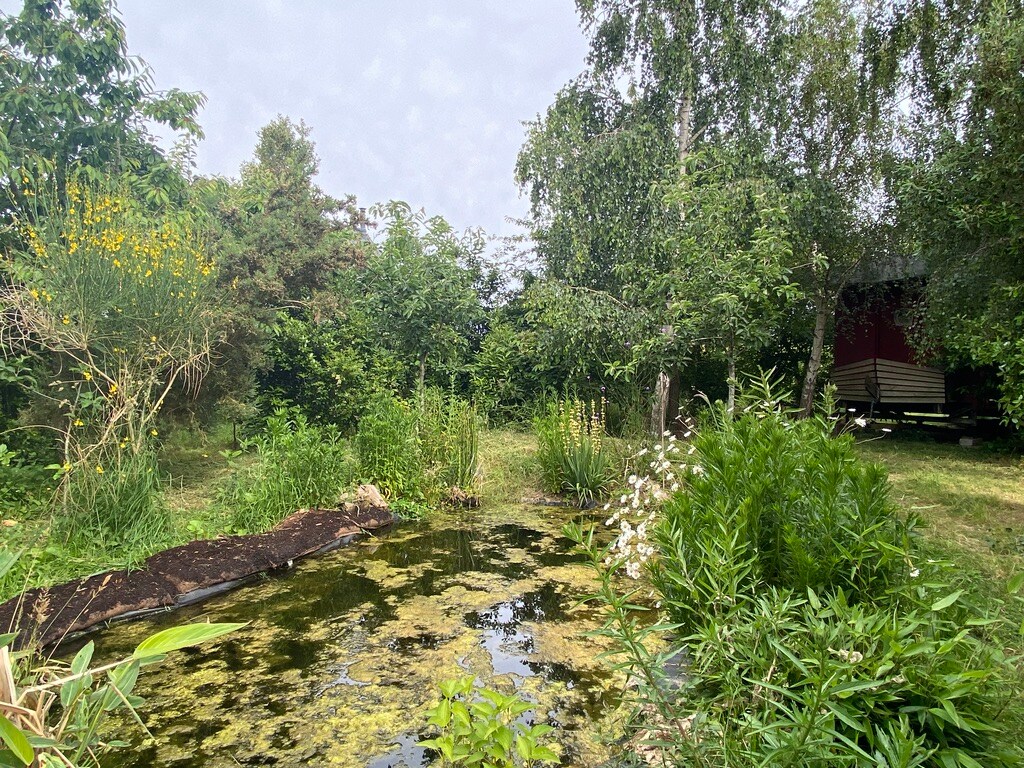 A natural garden setting features a small pond surrounded by lush greenery and various plants. Tall grasses and wildflowers add texture to the landscape. The background includes trees and a glimpse of the accommodation structure, partially hidden among the vibrant foliage.