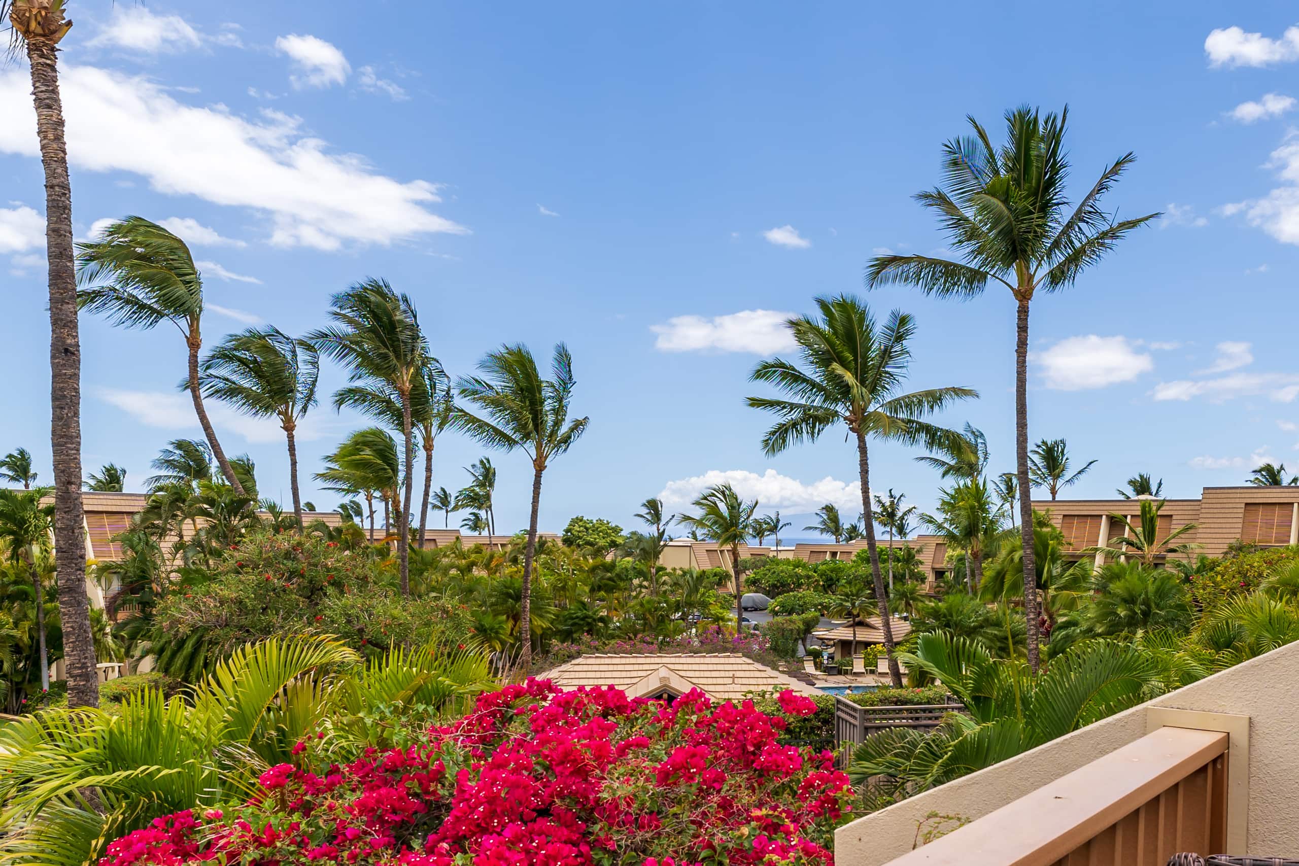 Condo in Kihei · ★4.97 · 2 bedrooms · 3 beds · 2 private baths - Image 29