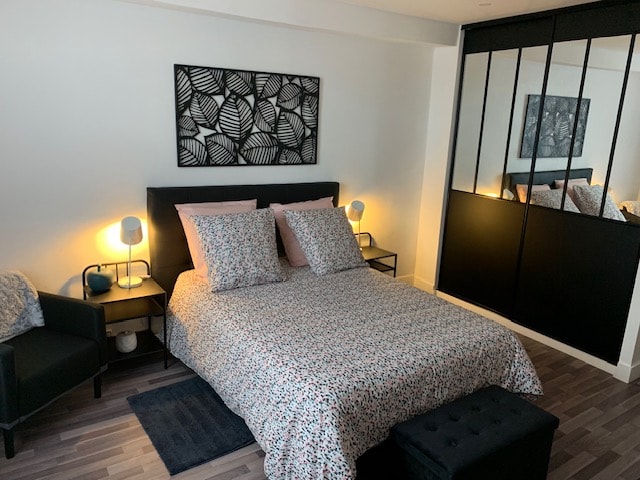 إطلالة على غرفة النوم مع خزانة كبيرة (شماعات)