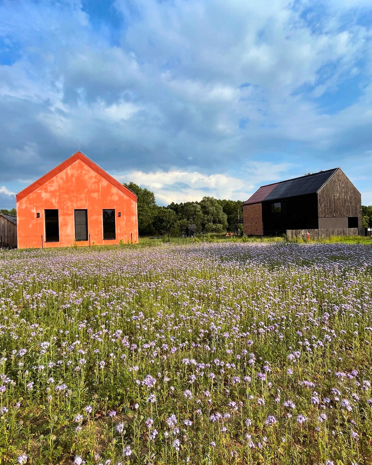 Two distinct houses are situated amidst a field of blooming wildflowers. The house on the left features a vibrant orange exterior with large windows, while the structure on the right presents a darker wooden facade. A backdrop of trees and clouds enhances the natural setting.