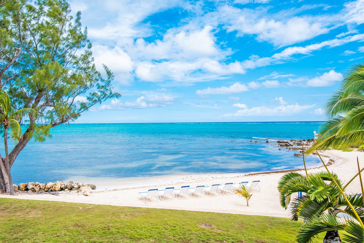 A serene beachfront scene captures calm turquoise waters meeting a white sandy beach. The image showcases lounge chairs arranged on the shore under a clear blue sky, framed by lush greenery and a nearby palm tree, creating a tranquil outdoor setting.