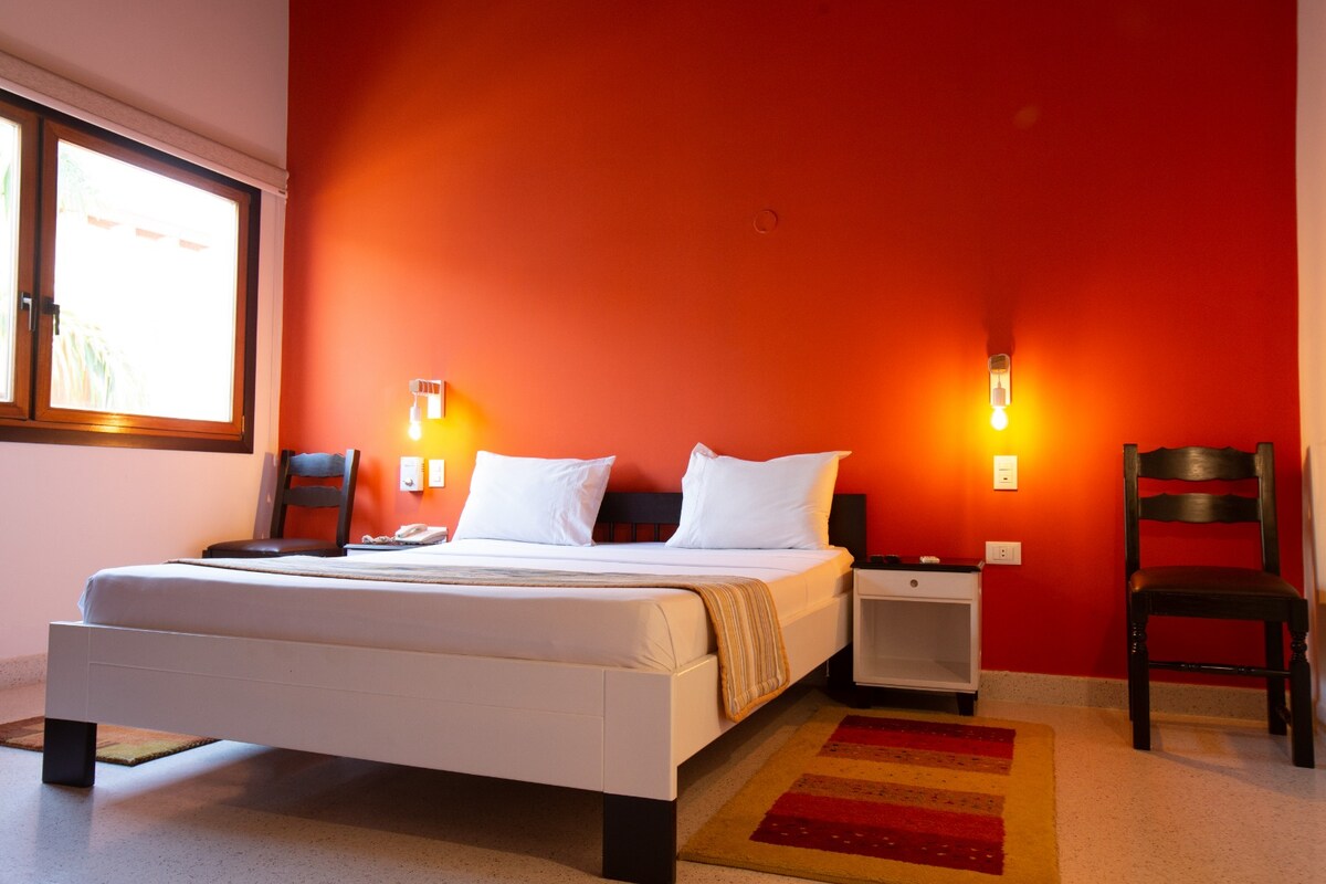A bright sleeping area features a spacious bed with white linens against an orange accent wall. Beside the bed is a nightstand with a lamp. Two wooden chairs are positioned near a window, allowing natural light to brighten the room.