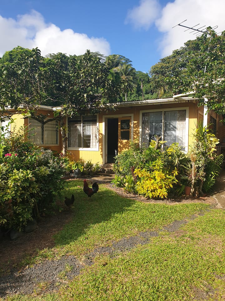 Liz's Home - Rarotonga