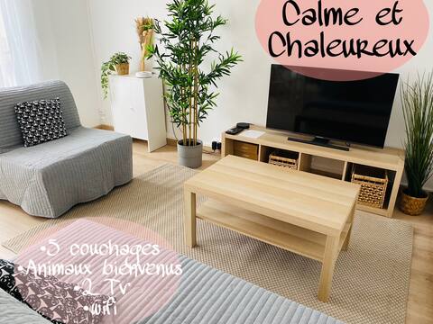 Chez Bobo: Cozy and sunny 52 m2 apartment