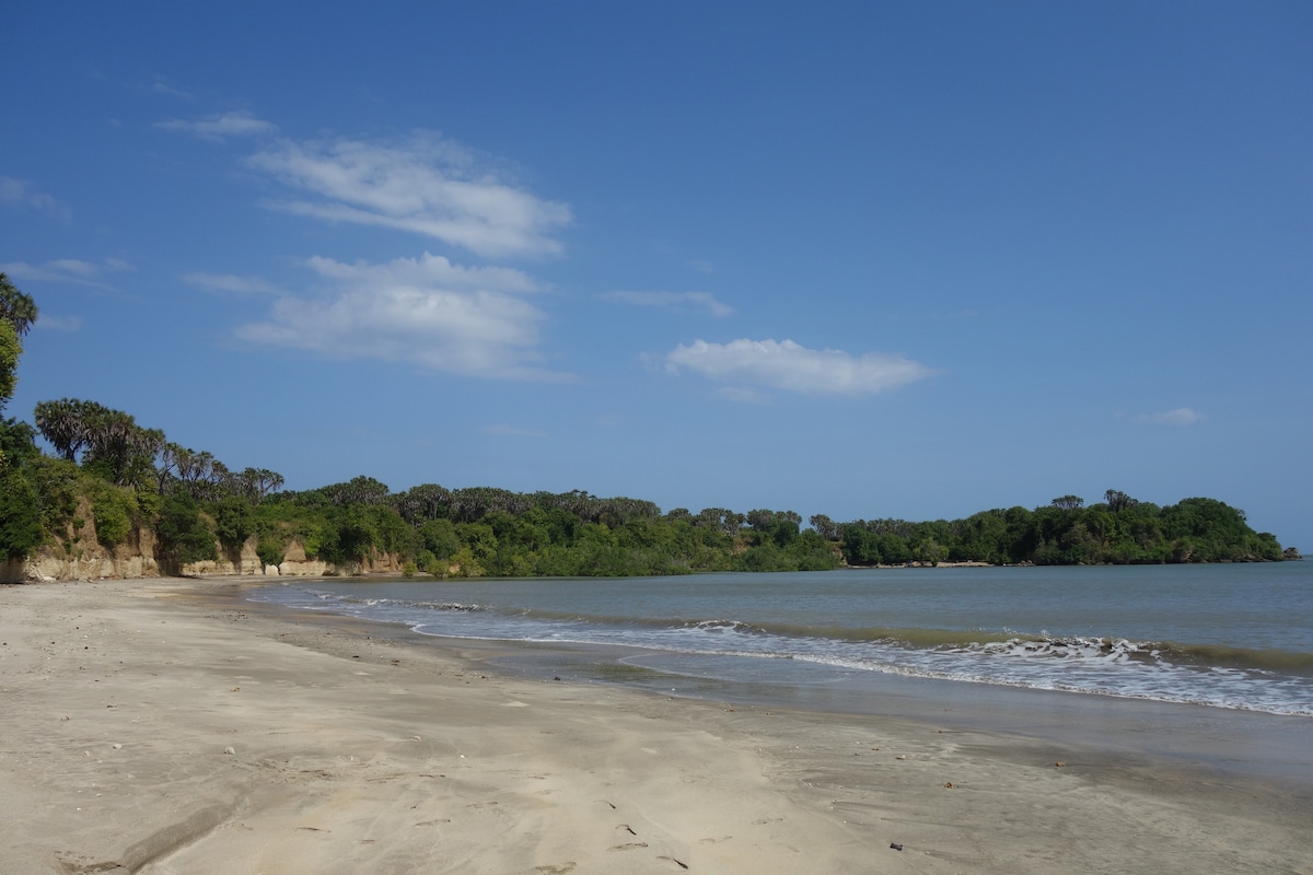 A serene beach scene extends along a coastline, featuring soft sandy shores and gentle waves lapping at the water's edge. Lush greenery lines the background, with clusters of trees providing a natural border under a clear blue sky, creating a calm and inviting environment.