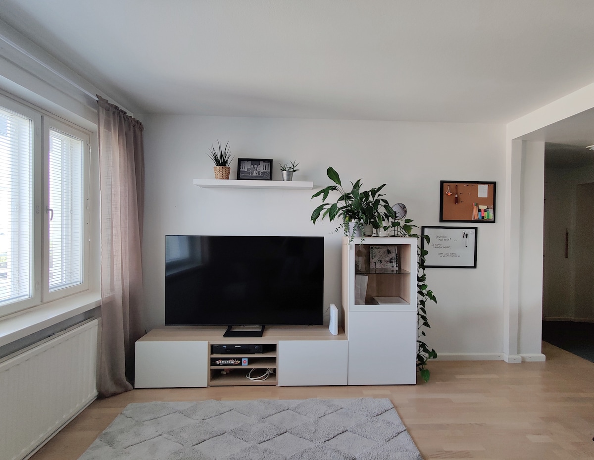 A bright living area showcases a large flat-screen television mounted above a modern entertainment unit. Natural light filters in through a window, highlighting a potted plant on the shelf above. A cozy area rug complements the light wooden flooring.
