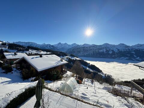 Chalet AlpinLux