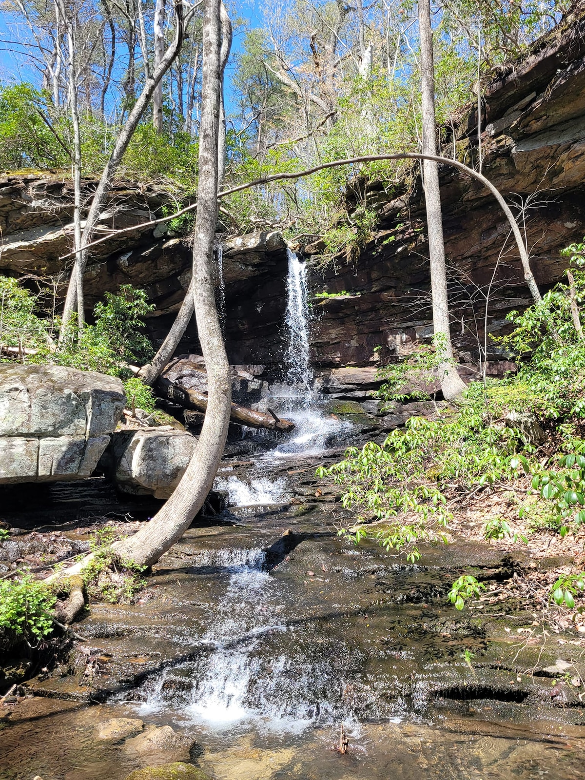 A serene waterfall cascades down rocky layers, surrounded by a lush, green forest. Sunlight filters through the trees, creating a dappled light effect on the smooth stones and flowing water below. The scene is tranquil and inviting for nature enthusiasts.