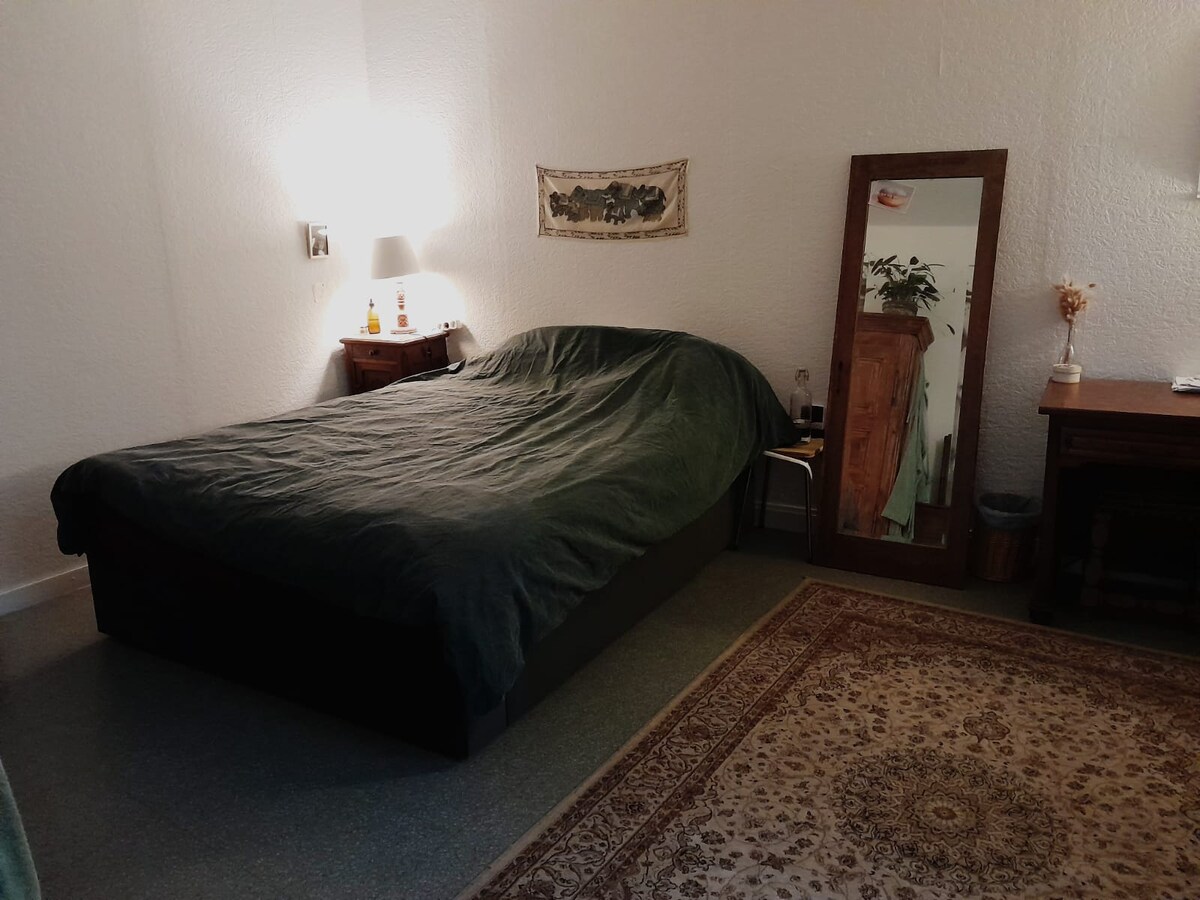 Annonce Airbnb populaire: Cozy apartment in the heart of the historic center. à Besançon