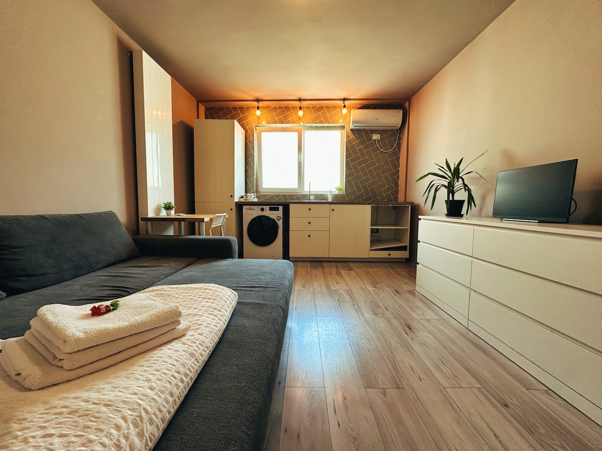 A spacious living area is visible, featuring a comfortable grey sofa facing a television. A kitchen unit with white cabinetry is seen, alongside a washing machine. Natural light comes through two windows, and a potted plant adds a touch of greenery to the space.