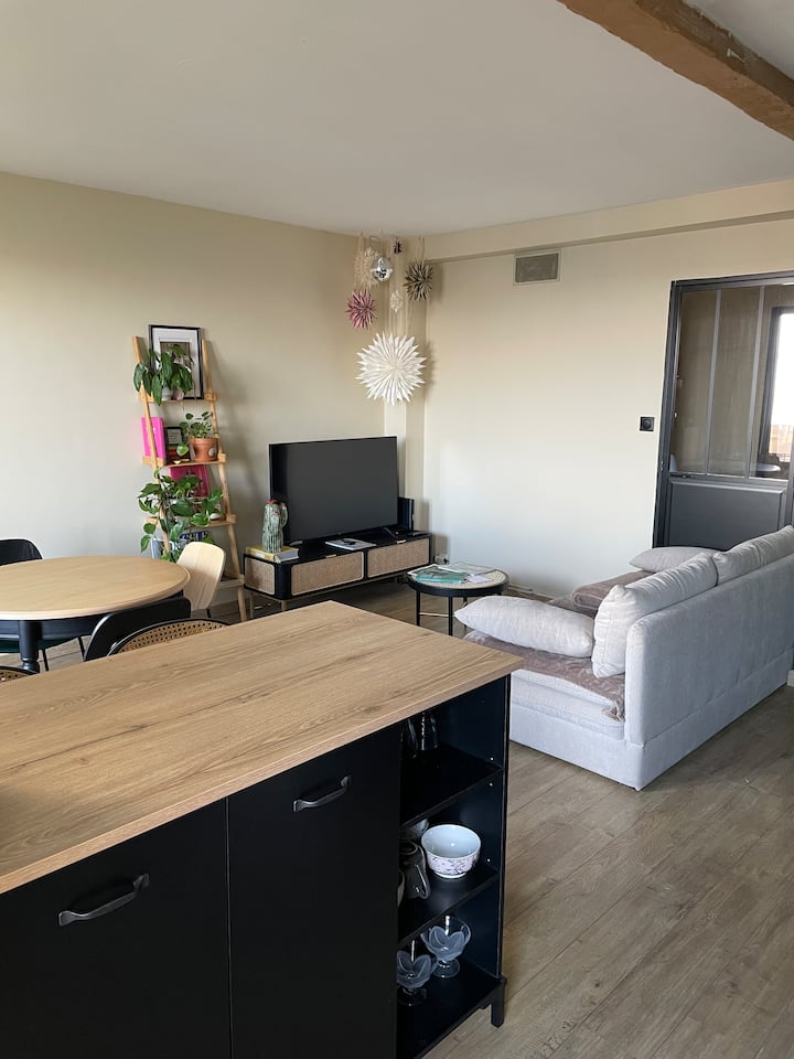 Appartement Cosy Et Chaleureux - Toulouse