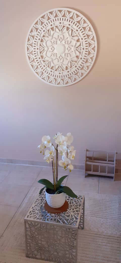 Popular Airbnb listing: large room in villa/hospital/Eurexpo/+stadium in Bron