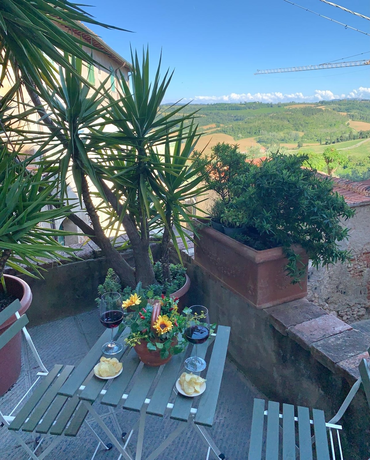 A small outdoor area features a table set for two, accompanied by potted plants and flowers. Glasses of red wine and a bowl of snacks sit atop the table. The surrounding view captures the lush green hills and blue sky, enhancing a sense of tranquility.