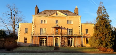 Little Plas
