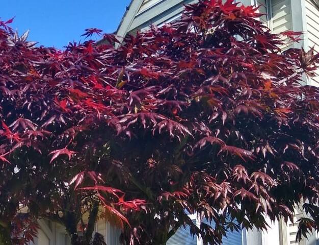 Marine Drive Station Entire House