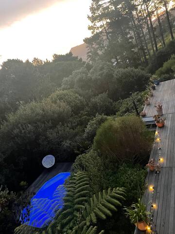 Arum Urban Oasis in Sylvan Tranquil Setting Views gallery image 5