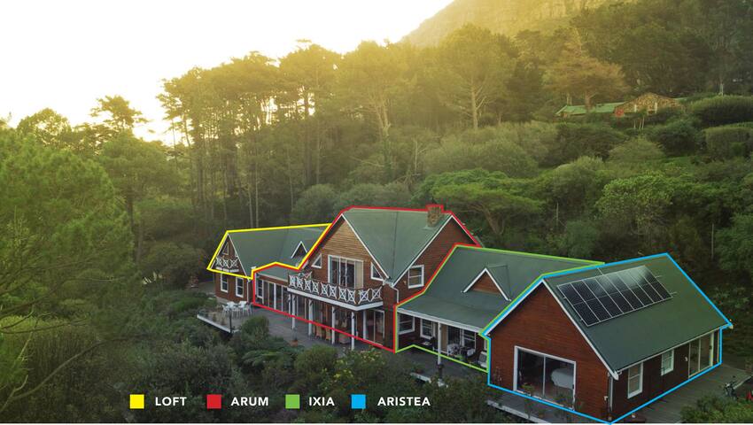 Arum Urban Oasis in Sylvan Tranquil Setting Views gallery image 2