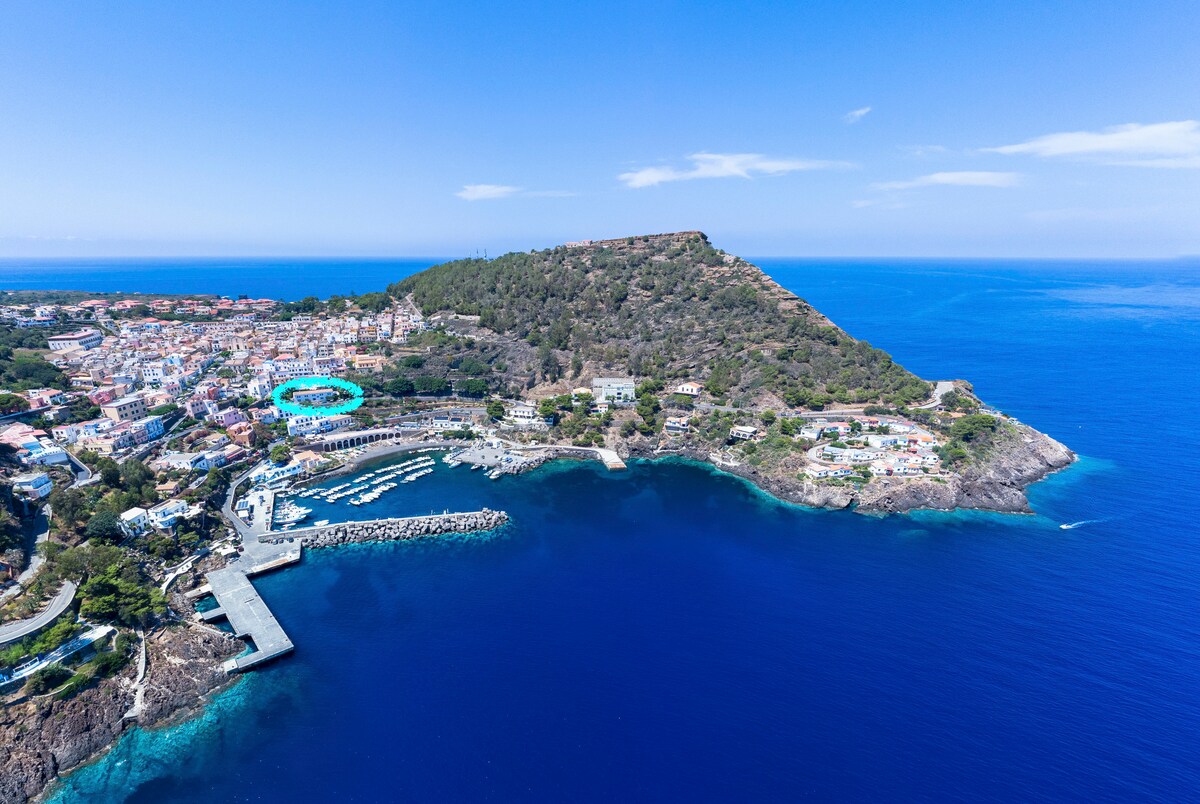 An aerial view captures the coastal landscape of Ustica, featuring a vibrant town nestled against a lush green hillside. The blue waters of the port contrast with the shoreline, while the rocky terrain rises gently in the background. Boats dot the harbor, enhancing the maritime scenery.