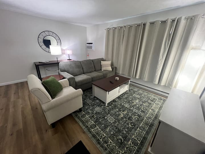 Walk To Sparrow Furnished 2br - East Lansing, MI