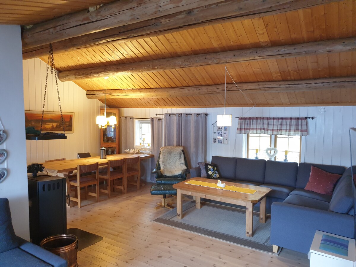 סלון מקסים עם עץ ואח - מקום חמים ומזמין להתכנס לאוכל, משחקים או ערב שקט.