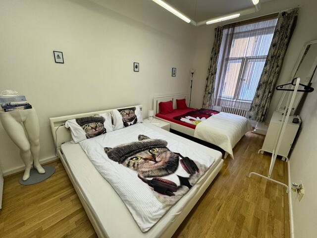 Charming Apartment in the City Center