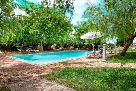 Villa Olive Grove immersed in unspoilt nature