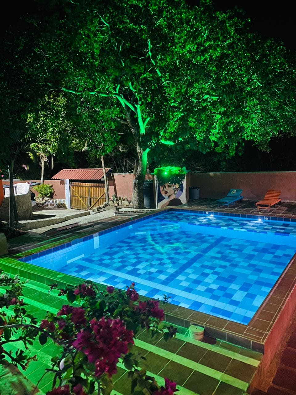 A swimming pool glows in vibrant blue lighting, surrounded by lush greenery and a variety of potted plants. Orange lounge chairs are positioned along the poolside. A wooden fence is visible in the background, enhancing the serene evening atmosphere.