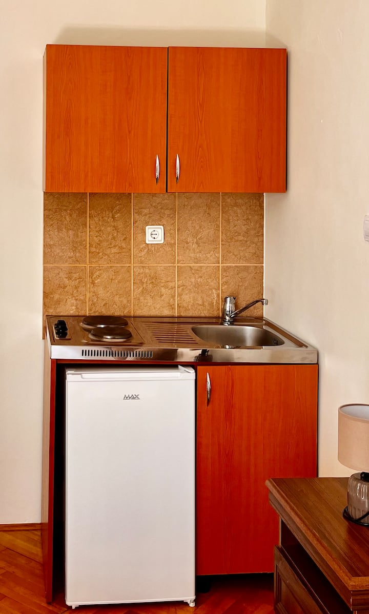 Villa Vesna - Apartment #1 - Budva