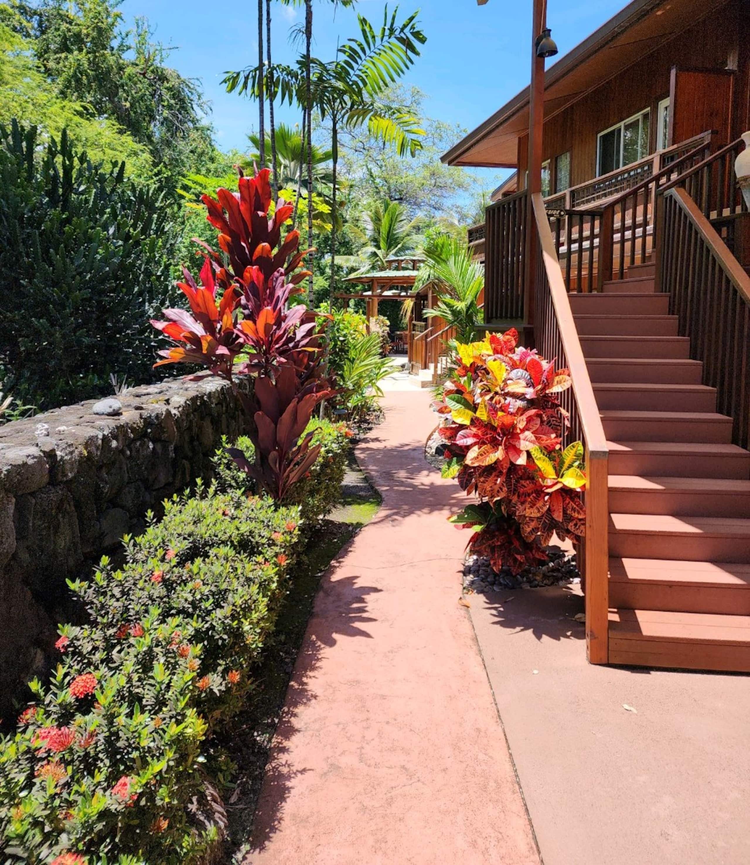 Condo in Kailua-Kona · ★4.89 · 2 bedrooms · 3 beds · 2 shared baths - Image 13