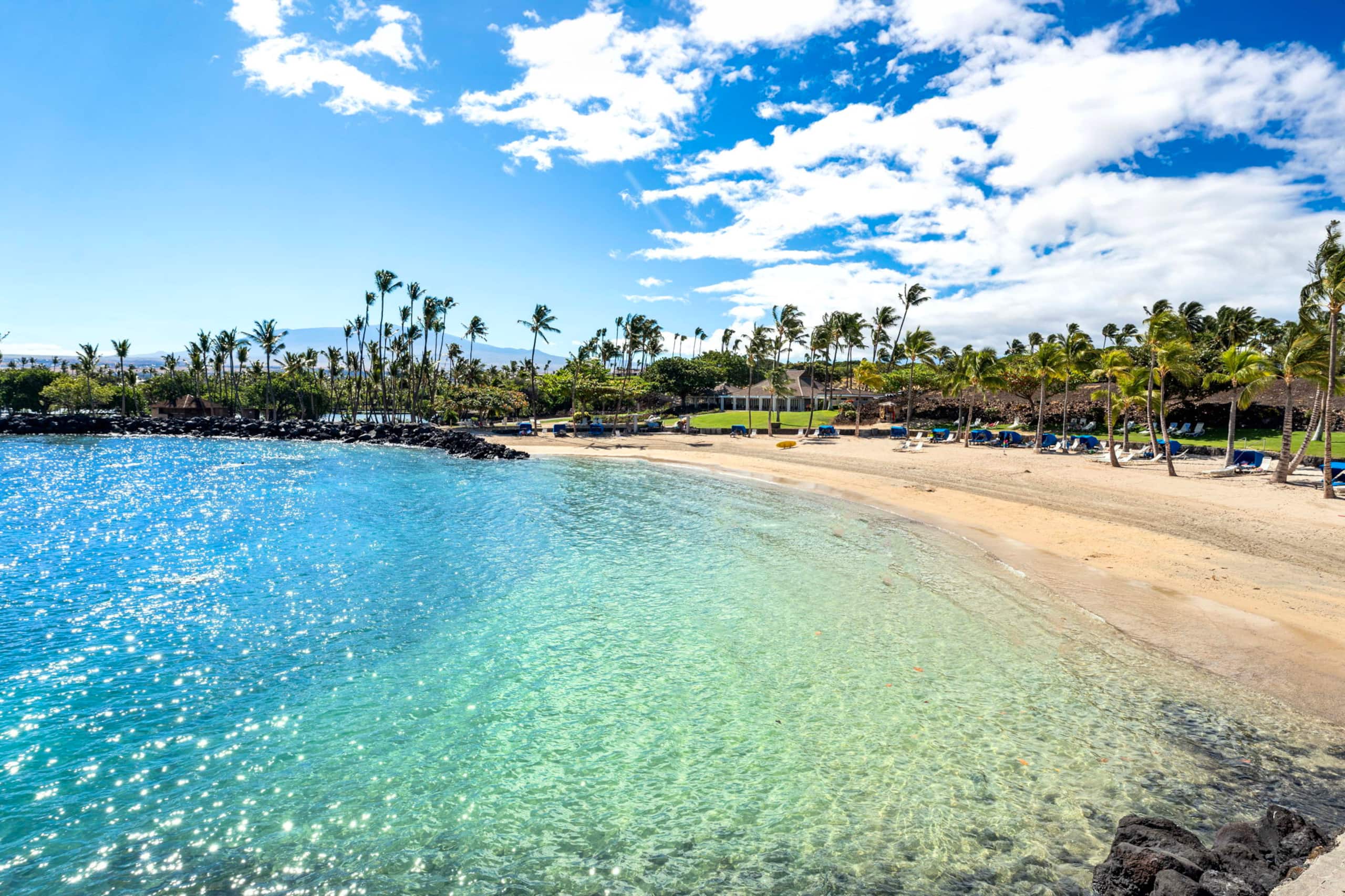 Condo in Waimea · ★5.0 · 3 bedrooms · 4 beds · 2.5 shared baths - Image 67