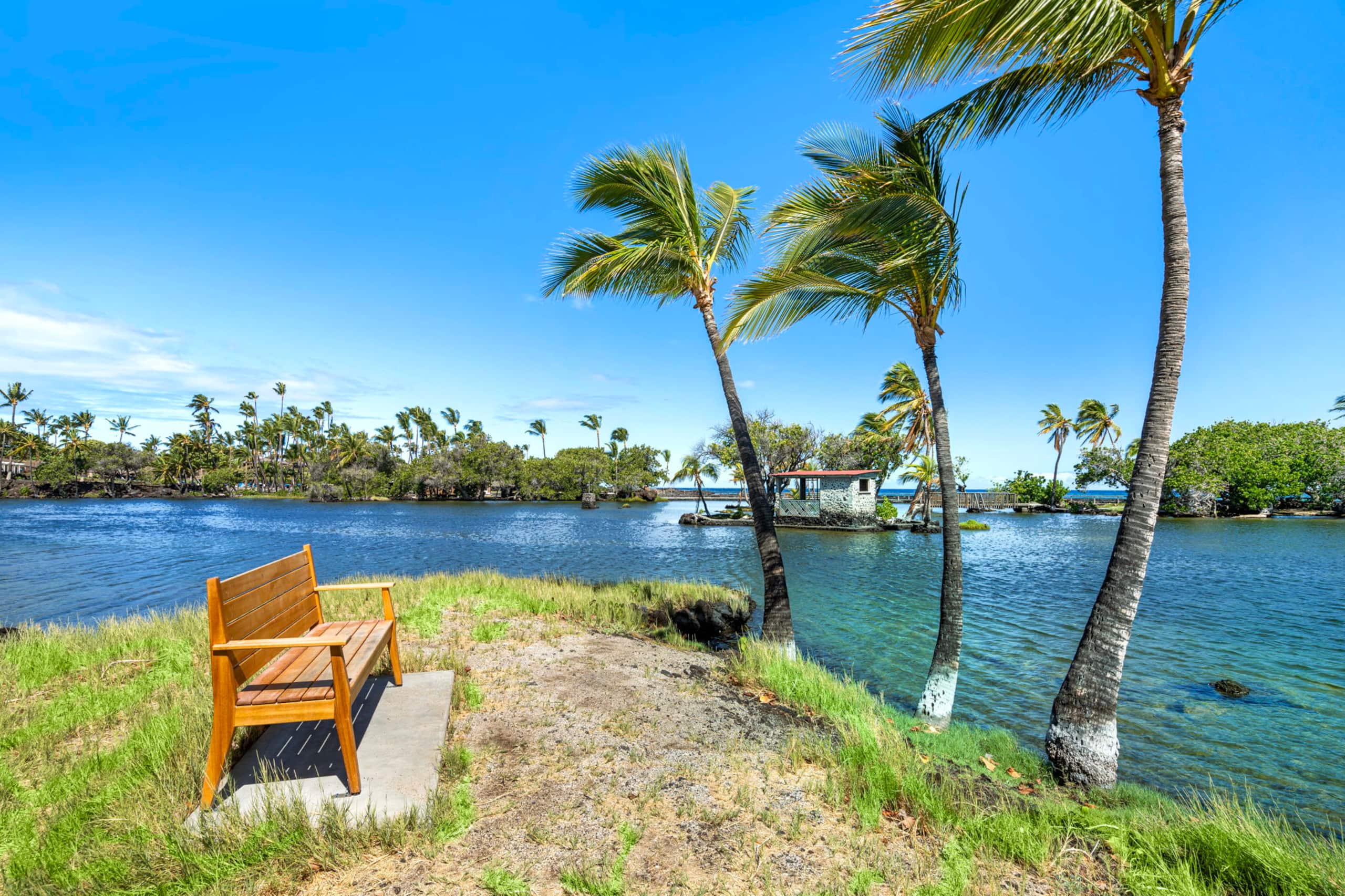 Condo in Waimea · ★5.0 · 3 bedrooms · 4 beds · 2.5 shared baths - Image 56