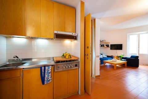 Successful Airbnb property: StarFish in Santa Margherita Ligure