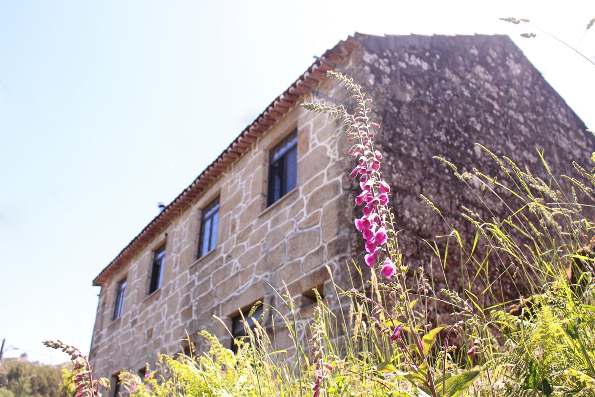 A traditional stone cottage features an upper floor with tall windows and a sloping roof. Lush greenery and wildflowers grow in the foreground, emphasizing the natural setting. The structure's rustic charm is highlighted by its textured stone facade under a clear blue sky.