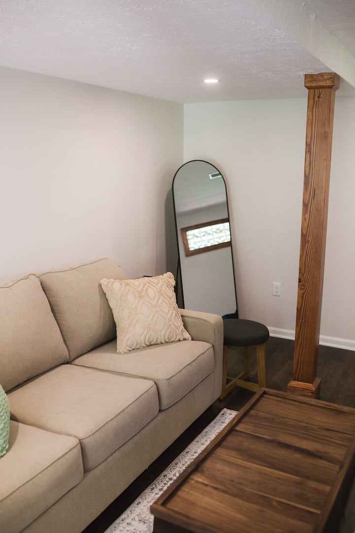 Queen pull out sofa bedand a full length mirror.