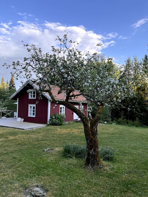 Charming cottage in a forest glade