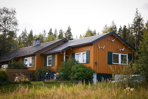 Cozy cabin near Rondane national park