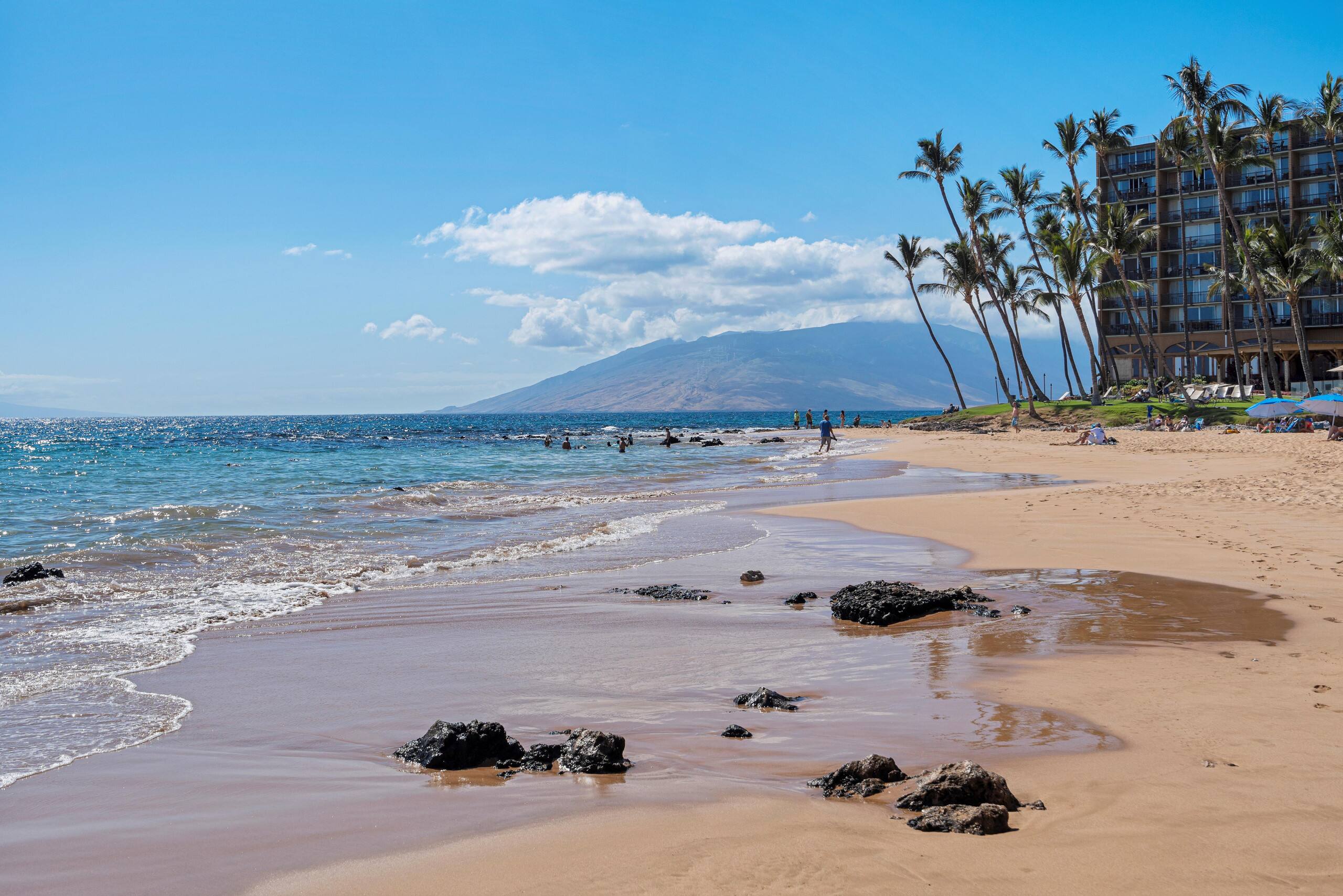 Condo in Kihei · ★4.89 · 2 bedrooms · 4 beds · 2 baths - Image 51