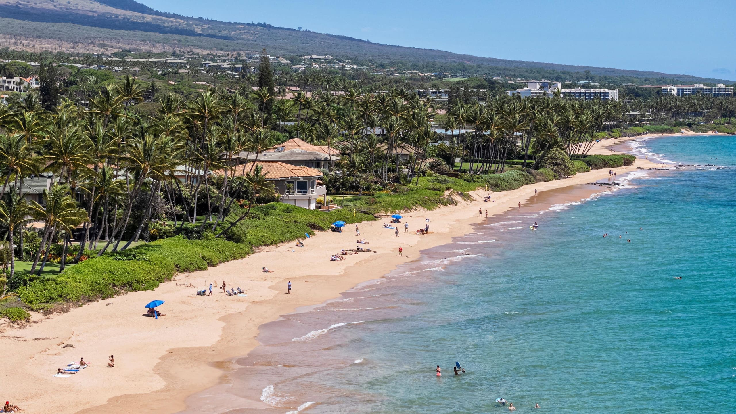Condo in Kihei · ★4.89 · 2 bedrooms · 4 beds · 2 baths - Image 49