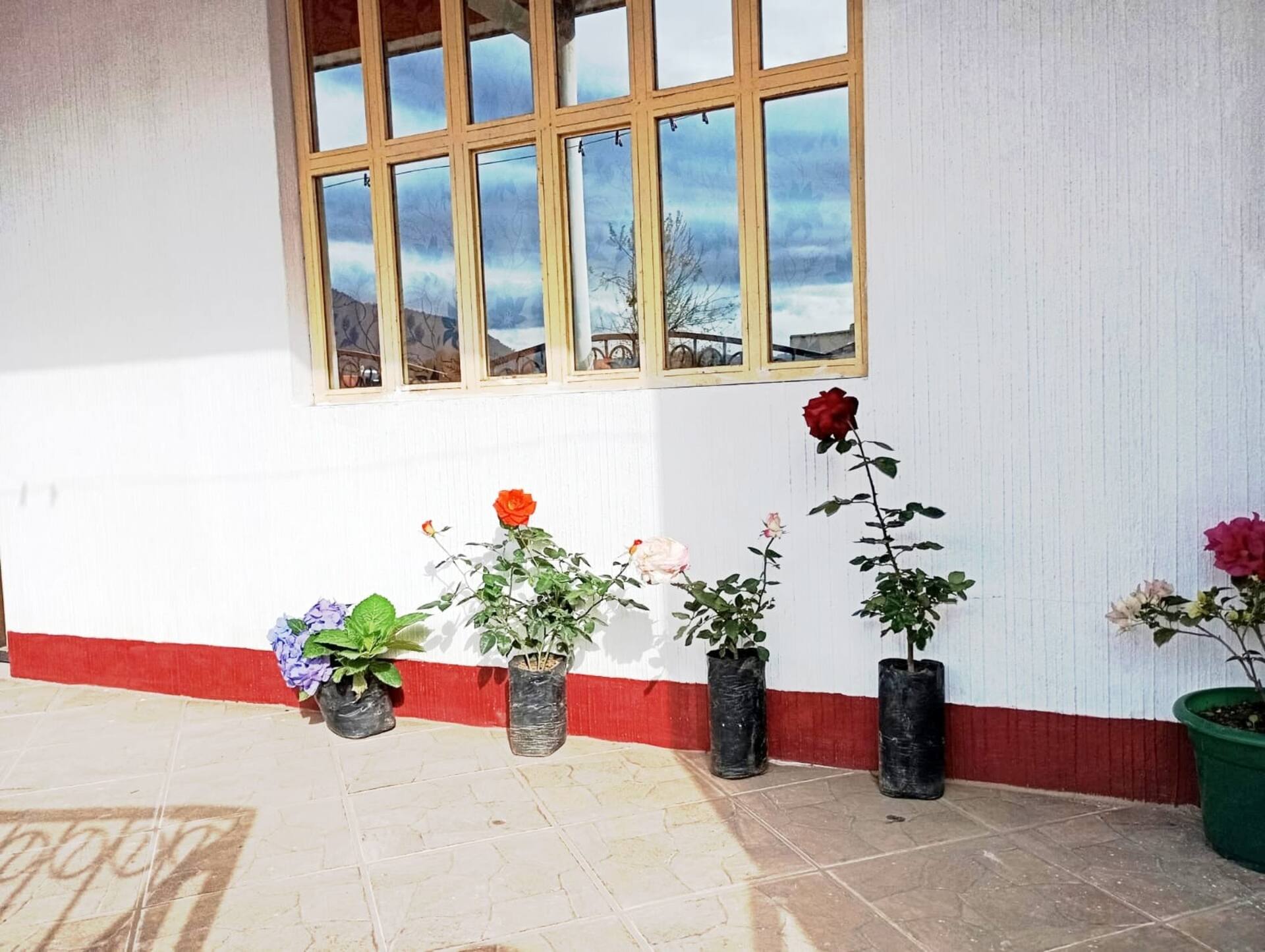 Casa Sauco confort4
